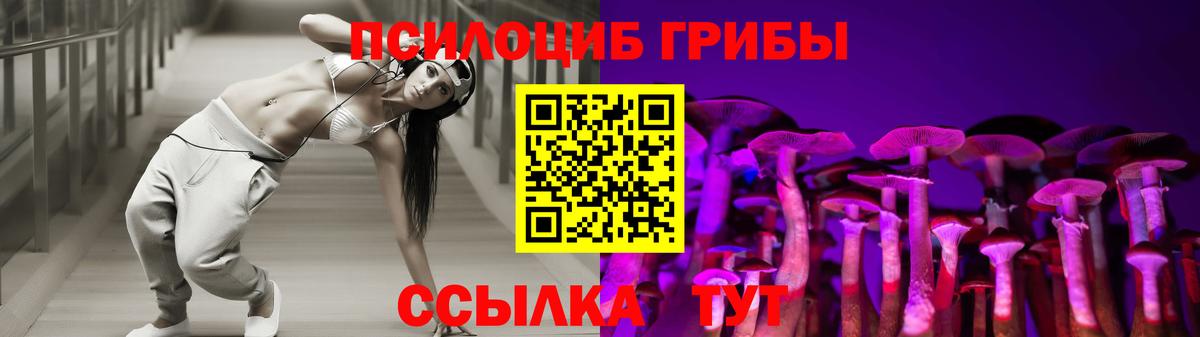 Тайшет  Псилоцибиновые грибы Cubensis  Вход с VPN 